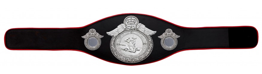MMA CHAMPIONSHIP BELT-PROWING/S/MMAS - AVAILABLE IN 6+ COLOURS